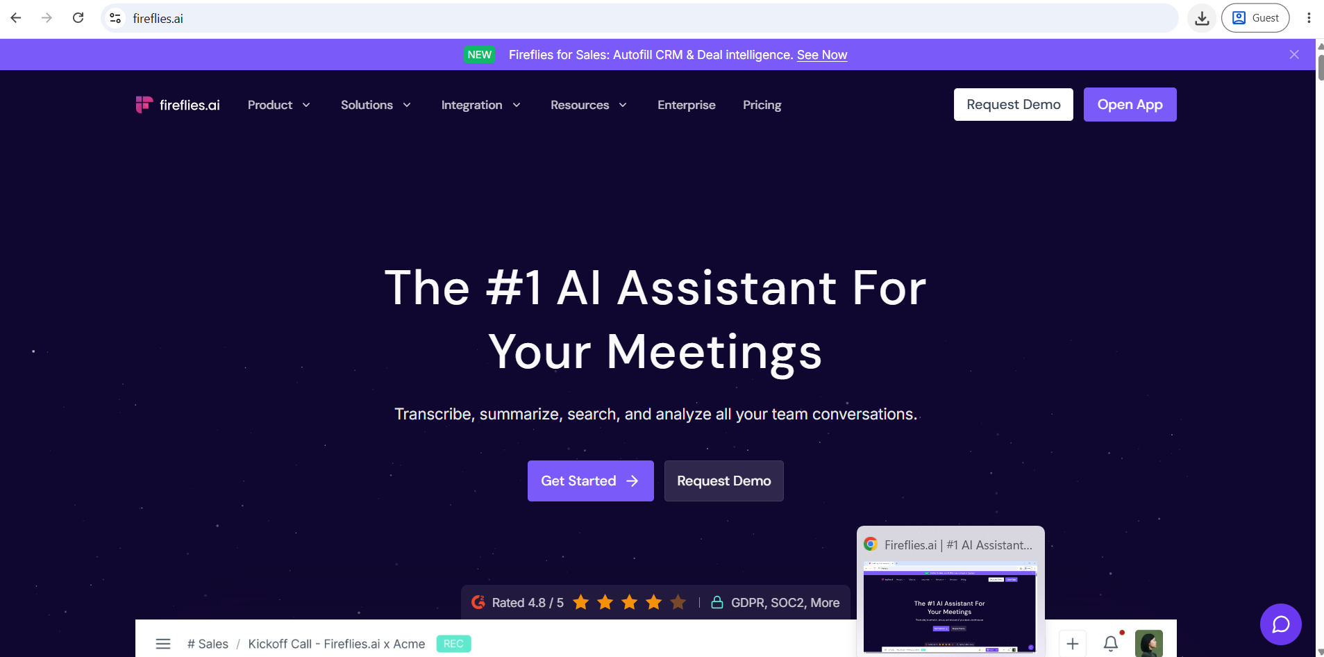 Fireflies.ai Meeting Intelligence Interface Screenshot